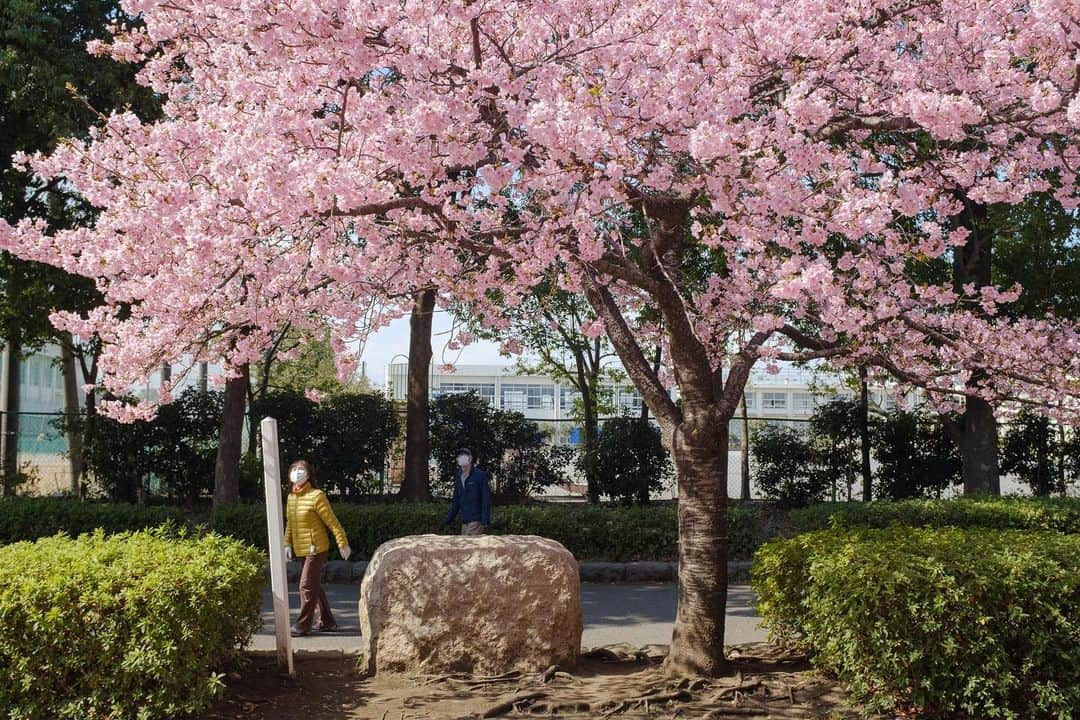 平塚市のインスタグラム