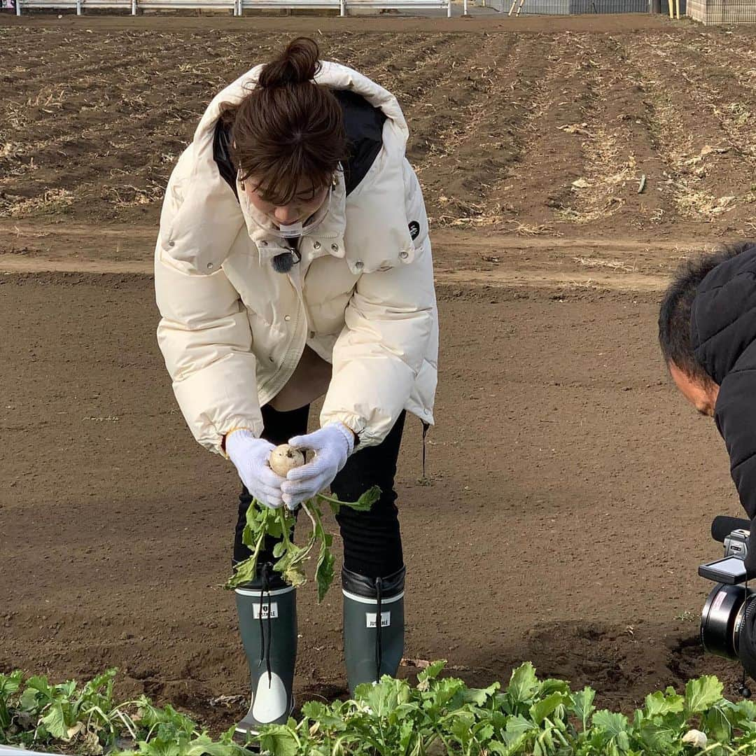 潮田玲子さんのインスタグラム写真 - (潮田玲子Instagram)「明日よる6時30分から テレビ朝日#ごはんジャパンに　出演させて頂きまーす🥰🙏  東京三鷹市の住宅街に… 300年続く農家を発見‼️  その15代当主は…  話題の #イケメン #農業男子✨  #ピザ 世界一 #山本尚徳 シェフは  カブ＆ほうれん草の濃厚ペーストで🥬 野菜ピザを披露🍕  庭の窯で焼くアウトドアピザに私も大興奮でした😂😂😂☝️ 是非ご覧ください🥰  衣装は  トップス、アウター共に @lanvin_en_bleu_womens #LANVINenBleu #ランバンオンブルー  パンツ @greed_int_online_shop #bedandbreakfastqualityoflife  ピアス @roomx601  #テレビ朝日 #ごはんジャパン #東京三鷹市 #衣装紹介」2月26日 17時14分 - reikoshiota_official