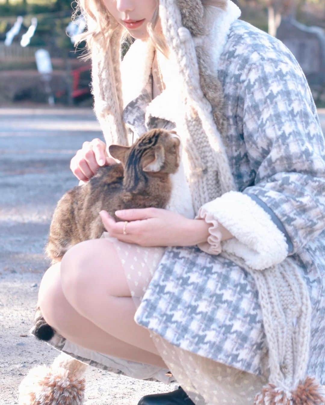 Elyさんのインスタグラム写真 - (ElyInstagram)「Tender. 猫と冬の日差し。 貓咪+冬天的太陽簡直是天堂！✨ 在富士山🗻附近拍了一組很放鬆的照片🐈 📷 @dzzdm  #elycosplay #ely #dailyely #elydaily #blessed #猫 #catsofinstagram #winter #portrait #ネコ」2月26日 17時17分 - eeelyeee