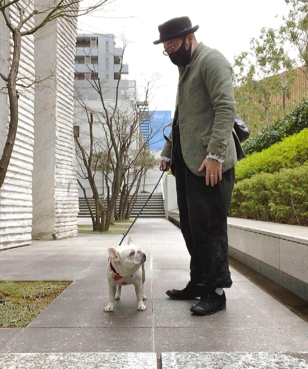 Ham-chanのインスタグラム：「#frenchbulldog #frenchie #hamham #hamchan #paulharnden #フレブル #フレンチブルドッグ #はむちゃん #はむはむ  今日は寒いね〜😊🐶」