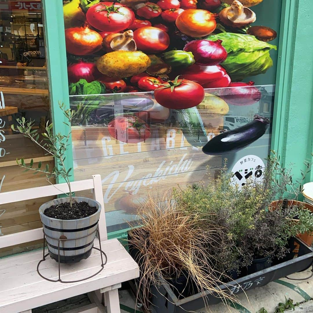 味のあるお野菜 べじ吉のインスタグラム：「🌳ベジ吉山小屋計画🌳  オーナーお得意のガーデニングで、ベジ吉を山小屋風に改造計画立ててます🛖 まずは、奈良県明日香村で買ってきたオリーブやローズマリーで緑いっぱいに🌳  どんなふうに変わっていくか楽しみにしてて下さいね✨  野菜馬鹿　ベジ吉 営業時間　 ランチ　11:00〜15:00（14:30L.O.） ディナー　17:30〜23:00（22:30L.O.） ただ今緊急事態宣言の為、ディナーは17:00〜20:00（19:00L.O.） #ベジ吉 #大阪 #福島 #大阪福島 #大阪グルメ #福島グルメ #大阪ランチ #ブッダボウル #福島ランチ #野菜 #野菜ランチ #自然派ランチ #自然派レストラン #オーガニック #オーガニックランチ #オーガニックカフェ #大阪カフェ #大阪ランチ巡り #大阪福島グルメ #大阪福島カフェ #大阪福島ランチ #lunch #vegetable #salad #さらさぽ #paypay #paypay使えます #サラサポ #follow」