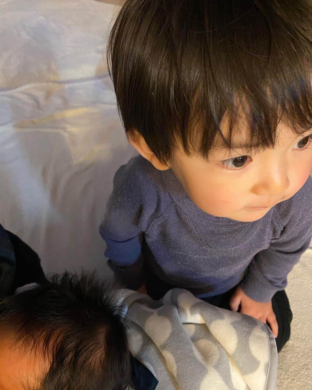 uta saitoのインスタグラム：「じっとこらえるお兄さん。  連日落ち着かず 泣いてばかりのお兄ちゃん  だけど、大好きなオッパイを 飲んでる赤ちゃんの 邪魔はしないように  グッと堪えて 正座してます。  ２歳の差って 本当に色々あるんだなぁ  いくつになっても 子育ては初めてで いっぱいです」