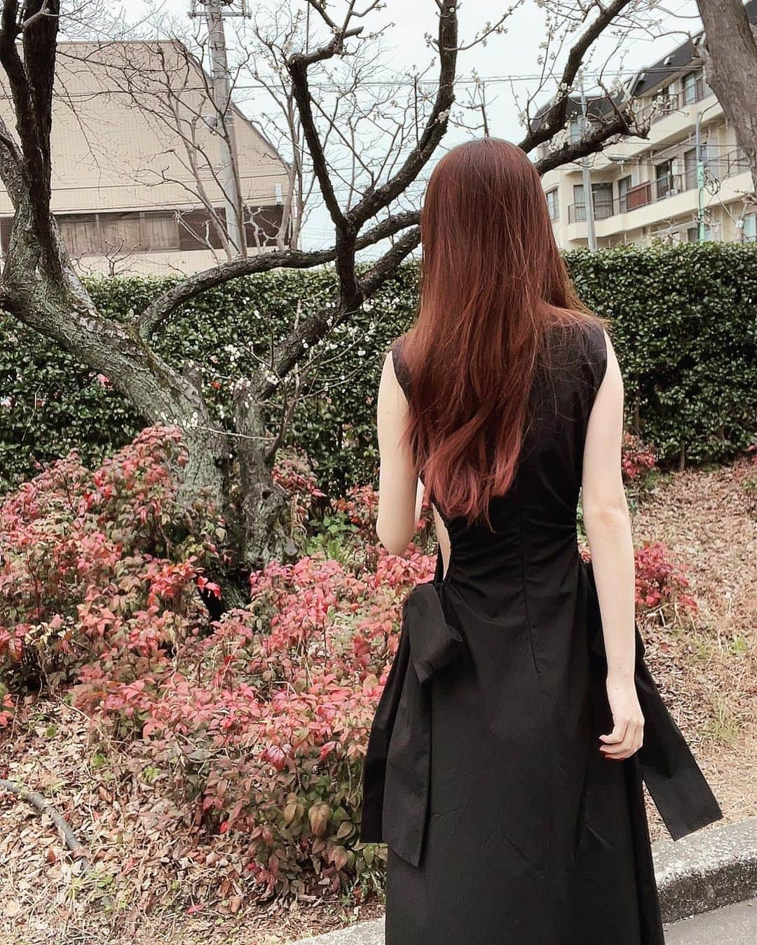 ダレノガレ明美さんのインスタグラム写真 - (ダレノガレ明美Instagram)「本日の衣装です💋 ワンピース👗→ @msgm  @msgm_tokyo  イヤリング→ @grossejapan  スタイリストさんは @stylist_fukami   ワンピース、横が空いてて可愛いの🥺 一目惚れして着ました！ ふかみちゃんありがとう✨ 髪の毛のピンクも綺麗に残ってる🌸」2月26日 17時50分 - darenogare.akemi