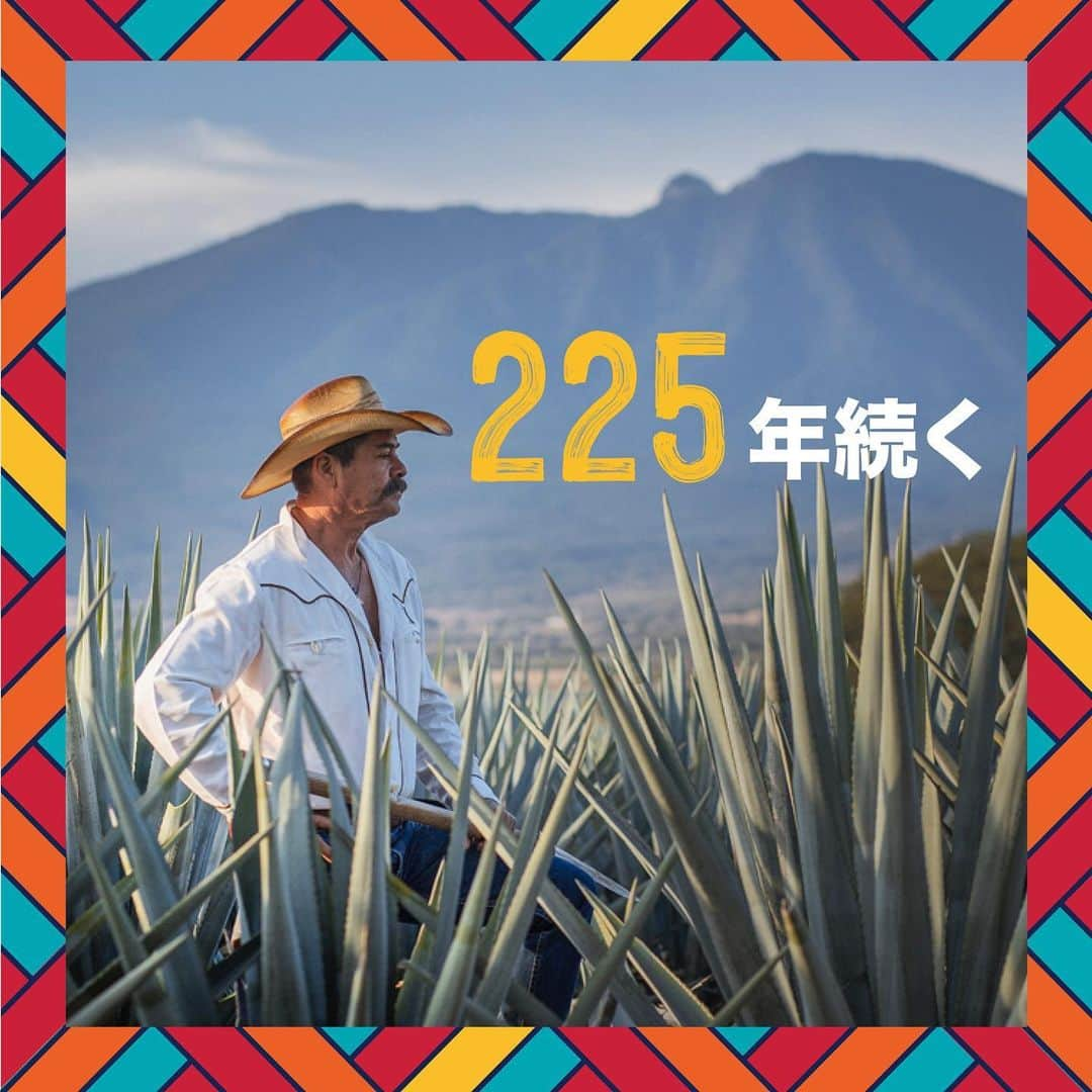 Jose Cuervo Japanのインスタグラム