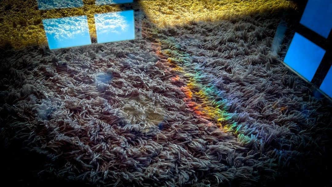 つるの剛士さんのインスタグラム写真 - (つるの剛士Instagram)「絨毯に🌈発見。」2月26日 9時21分 - takeshi__tsuruno