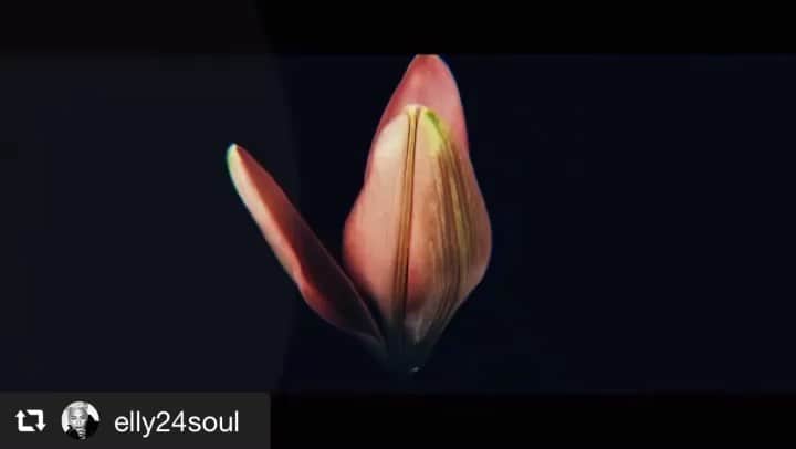 唐沢憲司のインスタグラム