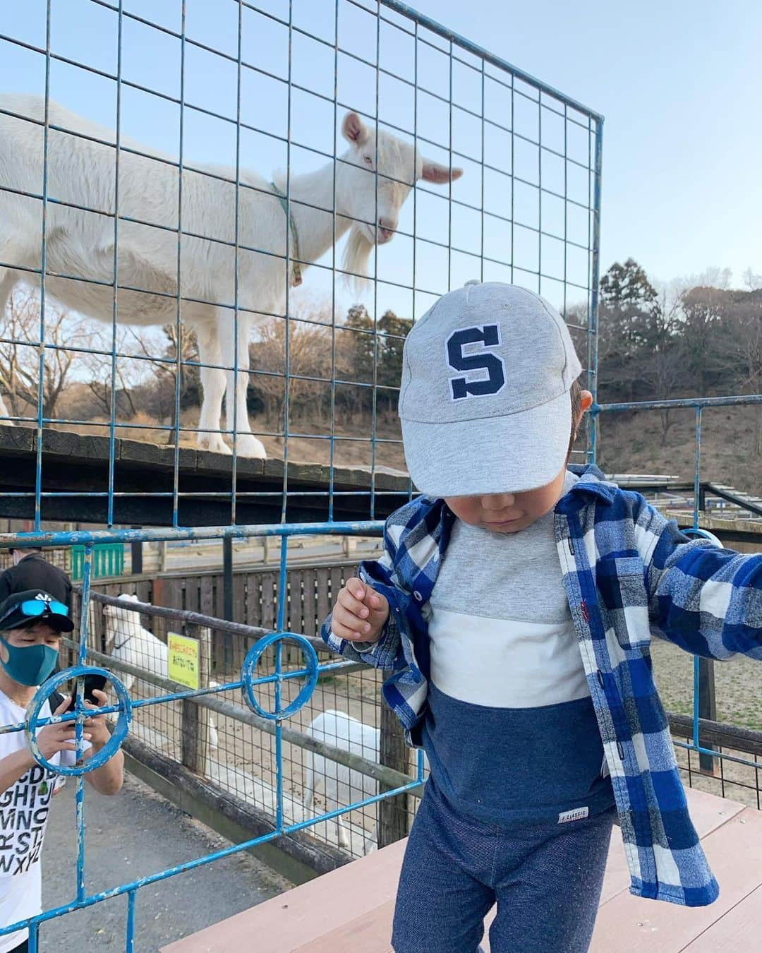 藤田志穂さんのインスタグラム写真 - (藤田志穂Instagram)「カメラ嫌いな息子の、貴重なご機嫌ショット😂📸 ・ カメラ向けると、大抵嫌がって逃げるか攻撃してくるのは何故🤣 ・ そして 何度も紹介している我が家の大好きな東京ドイツ村🇩🇪 ・ この日は 最近、テレビで紹介されてたらしく、ここ最近の休日でもとても混んでた😳 ・ 混んでたと言っても、かなりの広さがあるので、遊園地や遊具を離れれば家の近場の公園よりも全然密ではないけれど😂 ・ 我が家はひと通り遊んだら、動物園エリアに寄ってから帰るのが定番です😋 ・ そして 最近になって、ワンちゃんを怖がるようになったんだけど、ヤギやヒツジへの餌やりは余裕な息子🤔 ・ 旦那の遺伝子の影響か、餌あげる度に手を拭いたり、パンツの裾が少しでも上がるだけで気にしたり、テーブル汚れたらすぐ拭いたり。。。 ・ 微妙な几帳面さが、最近はよく目立つなぁ👦 ・ 洋服は果てしなく汚すくせに 👦「あー、かーちゃんみてー、よごれちゃったー」と報告してくるのがお決まりです😑 ・ #東京ドイツ村 #動物園 #餌やり #珍しく笑顔が撮れた  #カメラ嫌い #犬アレルギー #柵があれば大丈夫らしい  #サユリワールド #リベンジしたい #我が家の #ちびっこジャイアン #特技は #自分でやったくせに #人にやられた感 #出してくること」2月26日 10時03分 - shiho_fujita44