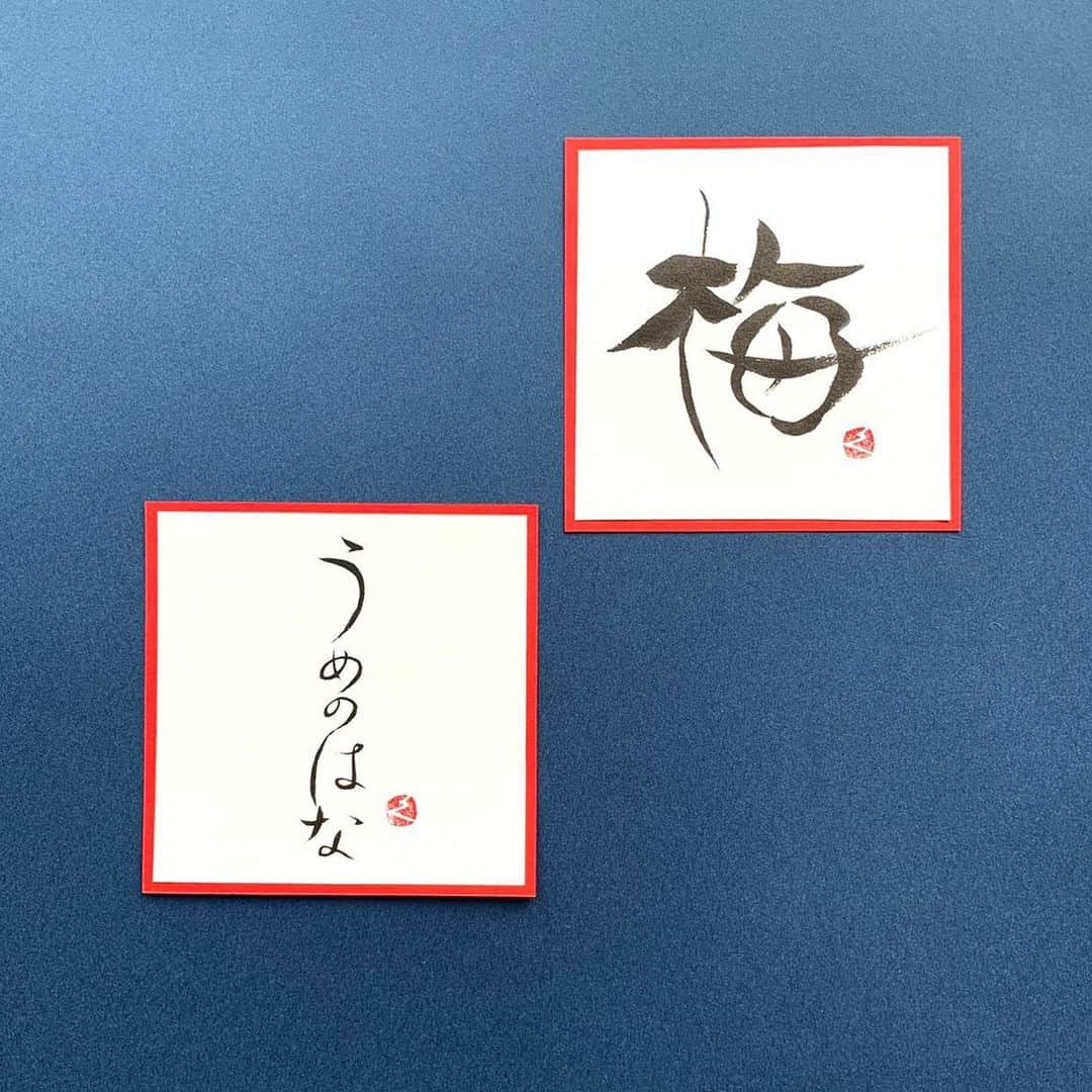 会津くみこさんのインスタグラム写真 - (会津くみこInstagram)「『うめのはな』 は、ひらがなで書くとなんともしっとりと儚げな印象に… 『梅』 は、美味しそうに描けました😋☺️ 月に一度の書の時間💕 #書道アート  #書のある暮らし  #書のじかん  #会津くみこ」2月26日 10時24分 - kumiko_aizu