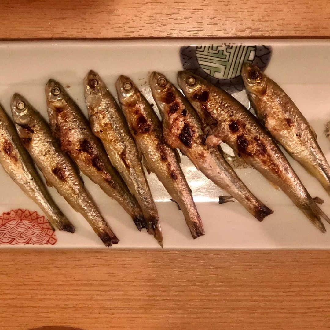 三浦瑠麗さんのインスタグラム写真 - (三浦瑠麗Instagram)「お魚をレオに黙って食べる日。」2月26日 10時48分 - lullymiura