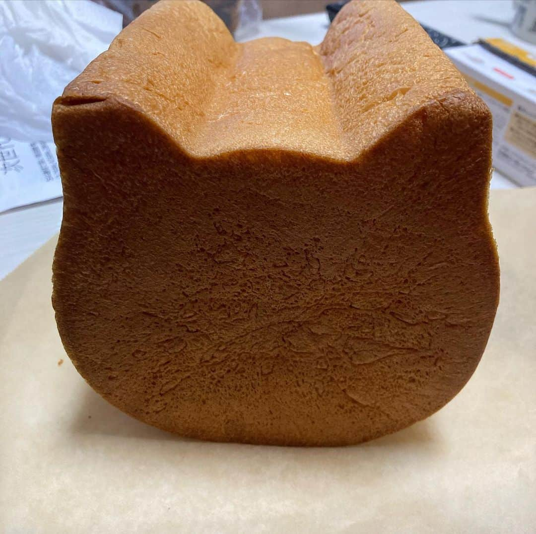 赤プルさんのインスタグラム写真 - (赤プルInstagram)「朝からねこねこ食パン！ この前もらったやつ、切って冷凍していた！ 冷凍しても めちゃくちゃ美味しい！ 朝はりんご🍎が定番になってるけど、今日は午後から体力使うからパン食べた。片付けの時も食べないのに、体力使う仕事って何だっぺ？ カフェ風に撮れたから、先日行った本当のカフェの写真も！ #ねこねこ食パン  #ねこねこパン #久々のパン #カフェ風 #赤プル #あさごはん」2月26日 11時17分 - puluco_a