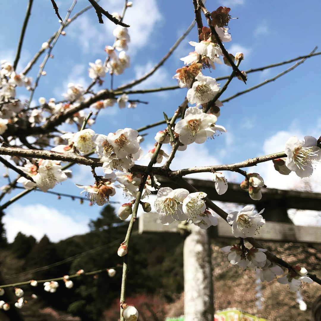 南日本新聞フェリアのインスタグラム