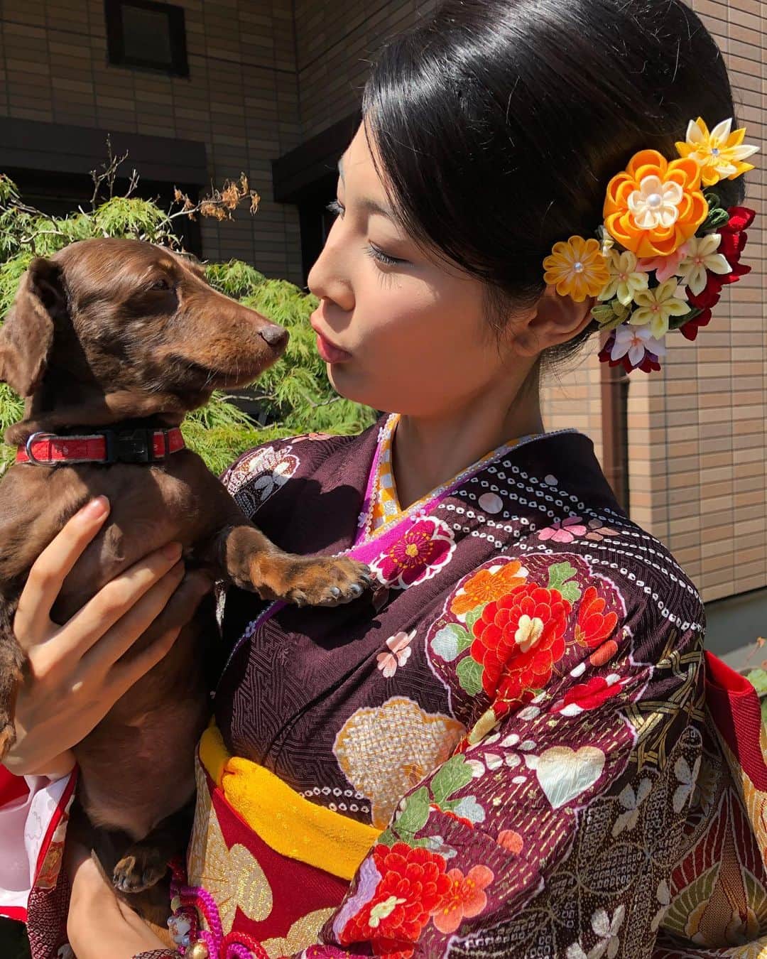 那須ミラノのインスタグラム：「. 昨日、大好きなショコちゃんが天国へ。  誤嚥性肺炎と分かった次の日、心の準備ができないまま逝ってしまいました。  涙が枯れるほど泣いて、なんとか状況を受け入れて 今朝、みんなで笑って見送ることができました。  天国ではゆっくり休んでいっぱい遊んでほしいです😌  12年間たくさんありがとう❤️」