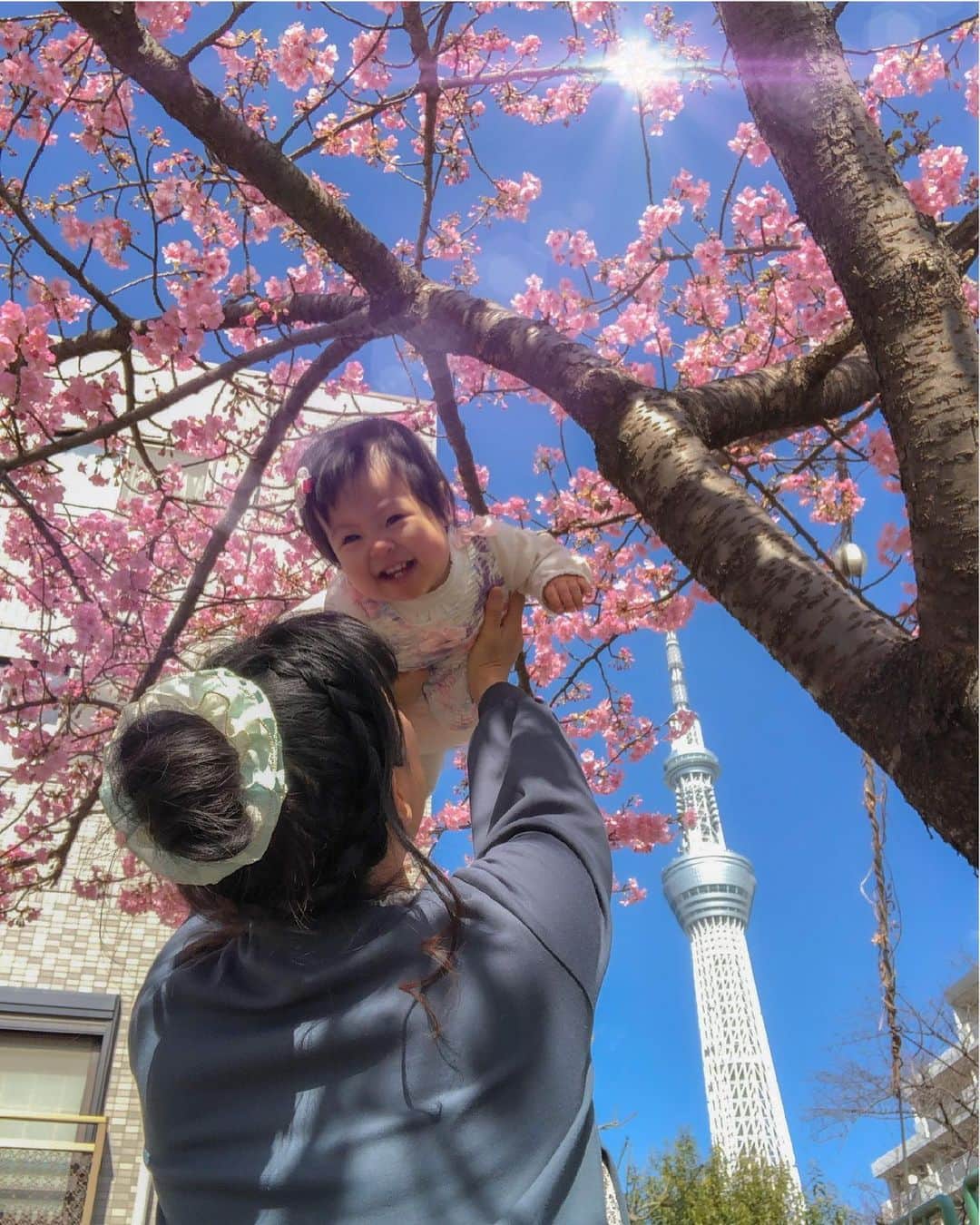 墨田区のインスタグラム