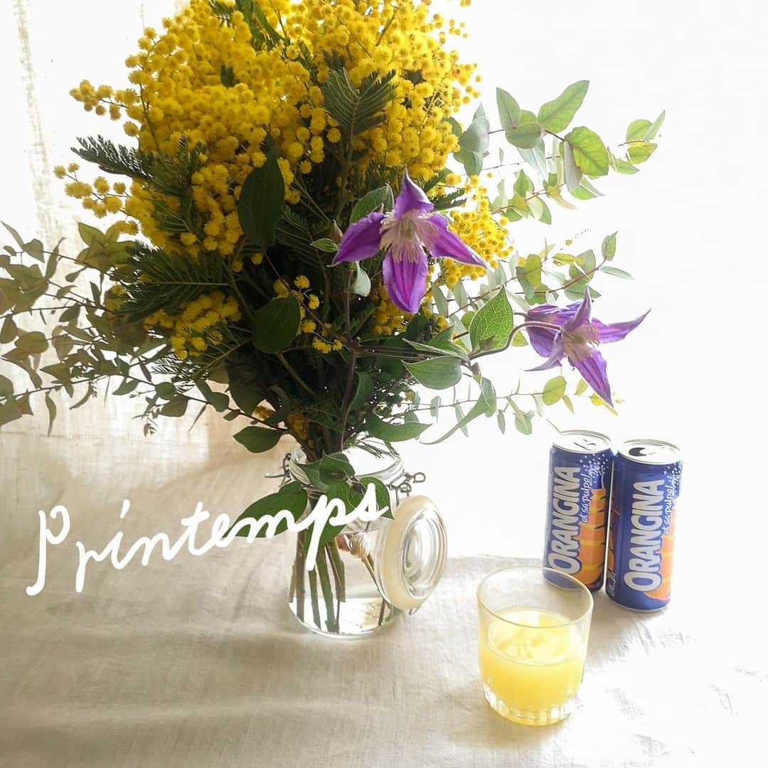 のインスタグラム：「Bonjour🇫🇷   フランスに春の訪れを告げる ミモザ☀️   花屋さんに黄色いミモザが並んで いい香りです😊   今日は フローリストさんに聞いた 簡単にできるミモザのブーケの作り方を ご紹介します💐   。。。。。。。。。。。。。   用意するもの   ☘️ミモザ　1束 ☘️ユーカリ　4､5枝 ☘️ブルー系の花　2､3枝 （今回はクレマチス）   。。。。。。。。。。。。。   ①ミモザの枝1本を軸にして その周りを斜めに沿うように ブーケを回しながら ミモザ、ユーカリをプラスしていく☝️   ②同じように ブーケを回しながら ブルー系の花を斜めに沿わせてプラス✌️   ③最後に 両サイドに1本ずつユーカリをプラスし ラフィアで束ねて完成👐   。。。。。。。。。。。。。   花瓶にはぬるま湯を入れて 2日ごとに取りかえると ミモザが長持ちするそうです👀   ミモザのブーケとオランジーナで🍊 テーブルが春色になりました✨    #orangina #France #Soda  #オランジーナ #フランス生まれ #炭酸飲料 #フランス #ミモザ #春 #ブーケ」