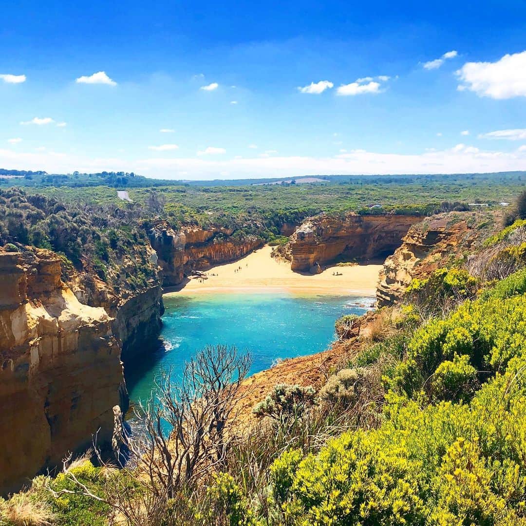 三浦マキのインスタグラム：「Updated weekly columns about Australia🇦🇺❤️  今月の @northmall_com はオーストラリアの記事が多め。　  絶景ビーチにお洒落なカフェ。 世界一好きなワイナリー🍷 世界一おいしいと言われるクロワッサン屋さんなど…  日本が寒い時は必ず行っていた場所。 早く行きたいなぁ💛  #australia #melbourne  #twelveapostles  #northmall」