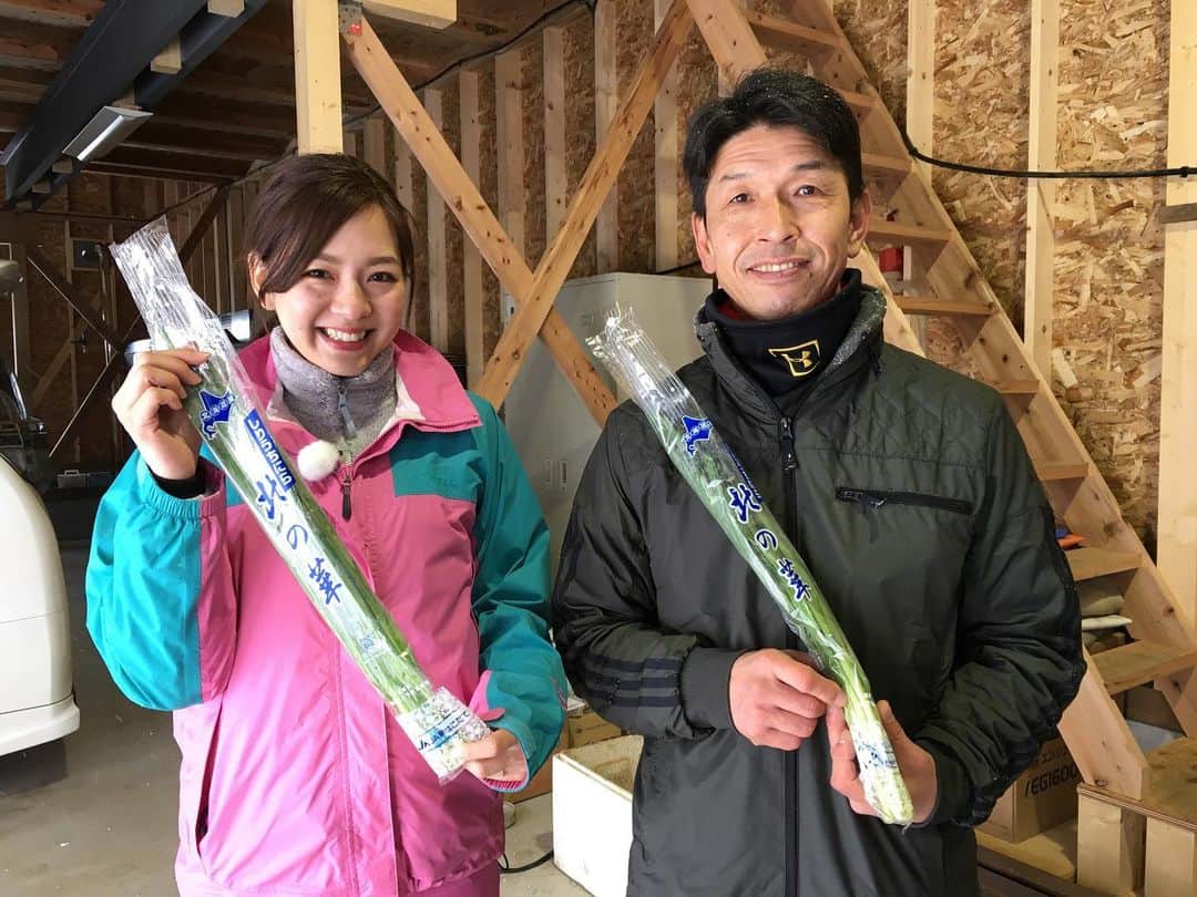 芳賀愛華のインスタグラム：「. 明日のイチモニ‼︎☺️ 6時30分からの特集は ミツカンの味ぽんを使った塩分控えめ旬レシピ✨✨ 今回は、知内町のニラ 北の華を取材してきました☺️ 一番ニラは甘くて本当においしい‼︎ 味ぽん✖︎ニラ の絶品料理をご紹介します☺️👍 . そして、9時30分からのイチモニでは イオン札幌桑園店から中継で出演させてもらいます☺️ 北海道産のチーズの魅力を取材してきました☺️✨ . 6時30分〜📺❤️ 9時30分〜📺❤️ . #イチモニ#北の華」