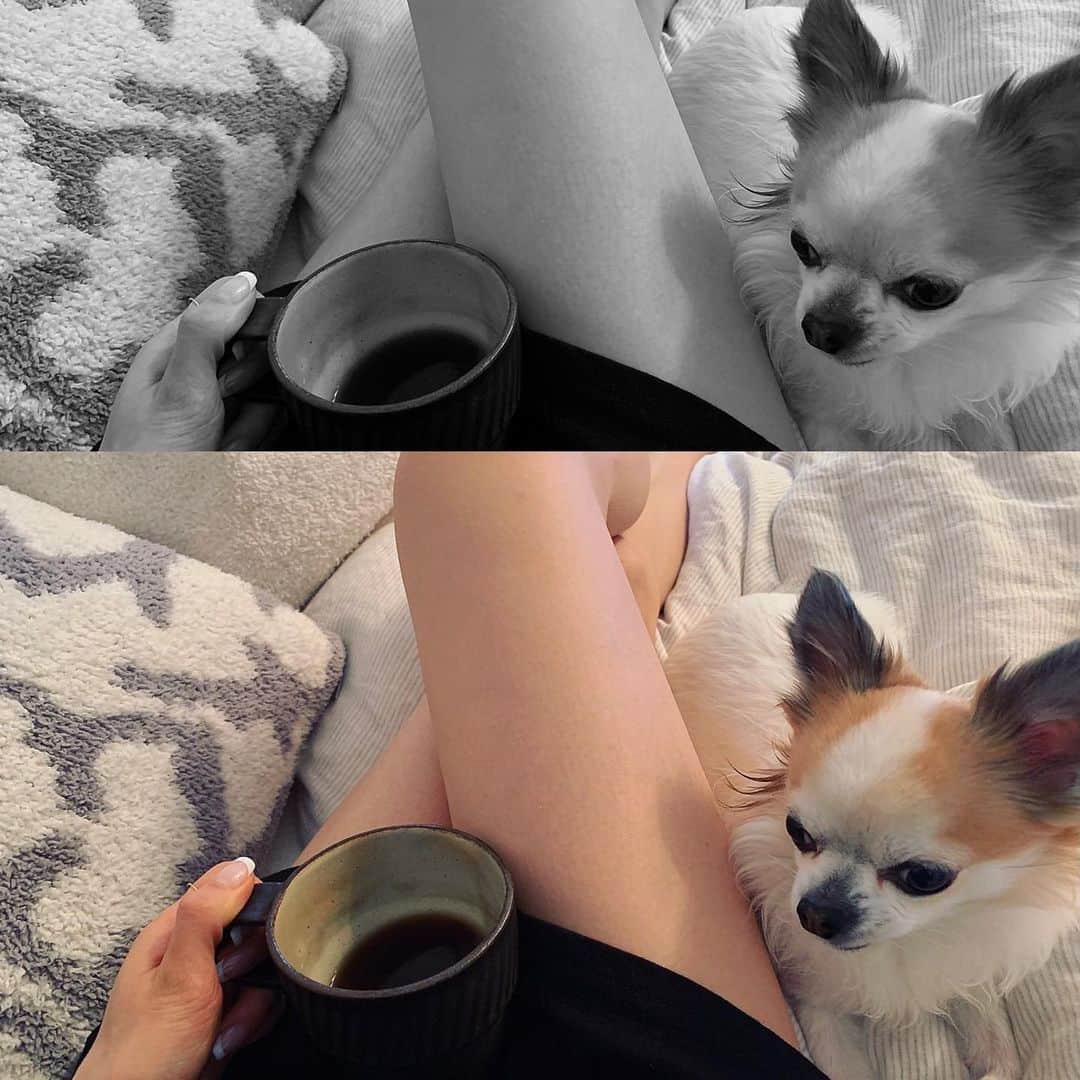 柳めぐみのインスタグラム：「. . Relaxing time with my babe☕️🤍🐶 . #おうち時間 #ダラダラ大好き #ぐうたら大好き #チョロ可愛い #安心して下さい #履いてますよ」