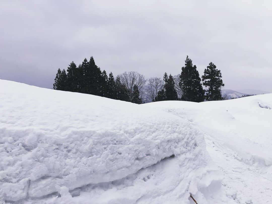 篠原信一さんのインスタグラム写真 - (篠原信一Instagram)「飯山のスノーキャロット❄️🥕 雪下から掘り出したスノーキャロットをにかぶりつくとカリポリっとした食感で甘くて美味い😋 #長野県 #飯山 #スノーキャロット #土曜はこれダネッ  #甘い」2月26日 14時47分 - s.shinohara_life