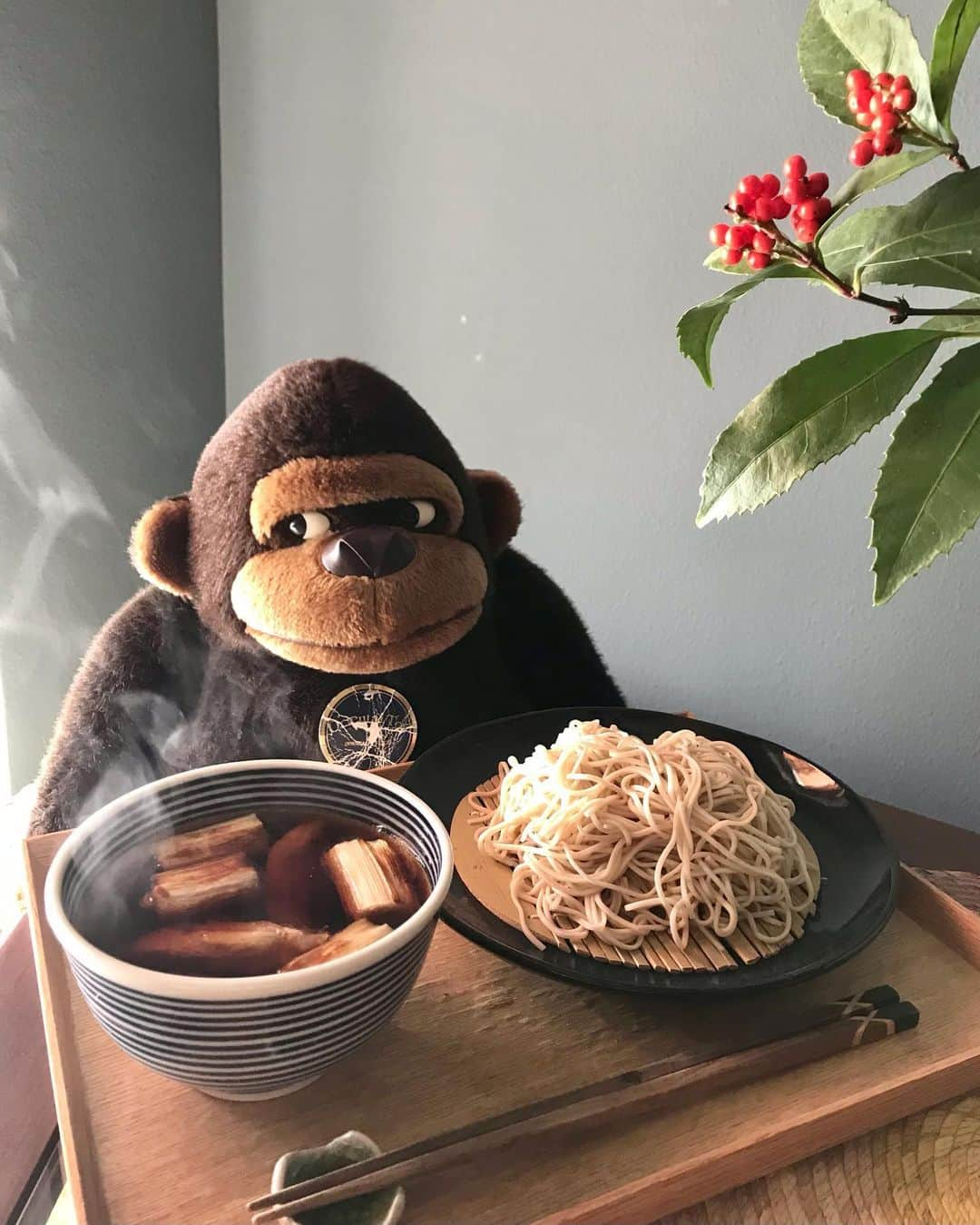 アヤメのインスタグラム：「Soba with #goribothegorilla 食あたりの急性胃腸炎から復活し今日から仕事再開です✊🏼🔥😓 #深大寺そば #家蕎麦 #固形物食べたい #動物のいる暮らし #ゴリラのぬいぐるみ」