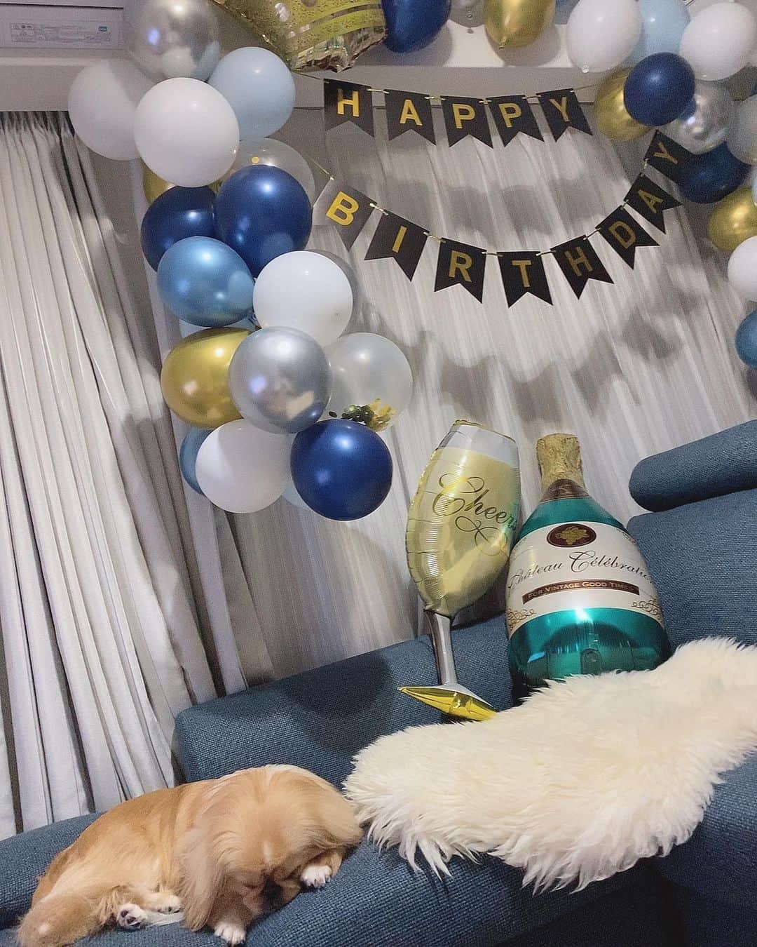 ハミ さんのインスタグラム写真 - (ハミ Instagram)「🥂🍾✨  主人のbirthday weekなので、 部屋をデコレーションしました🎈🥳  リビングが賑やか💙🤍💙  #happybirthday#balloon#おうちbd #🥂」2月26日 15時39分 - hami0519