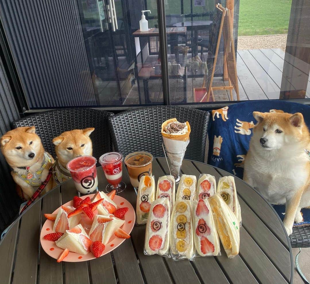 いなりのグルメインスタ