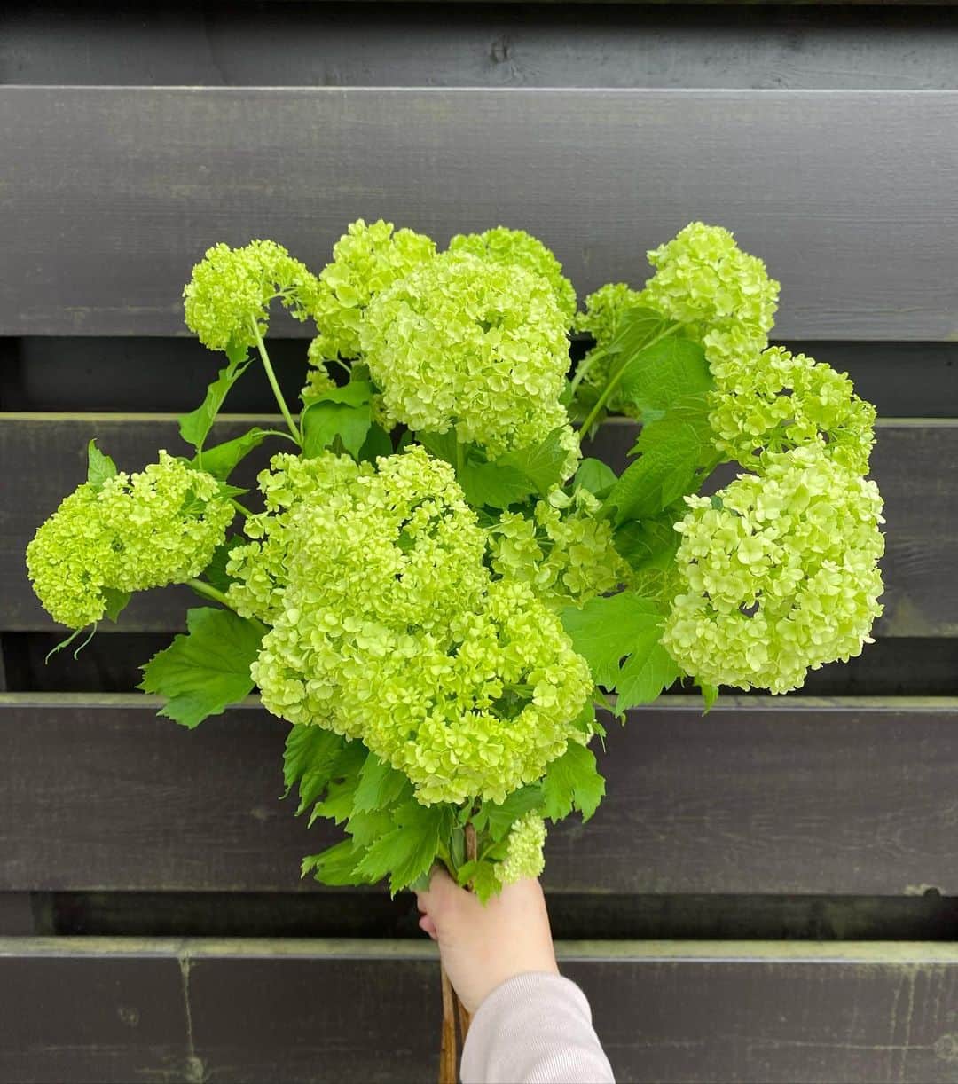 MILLE ECLAT.のグルメインスタ