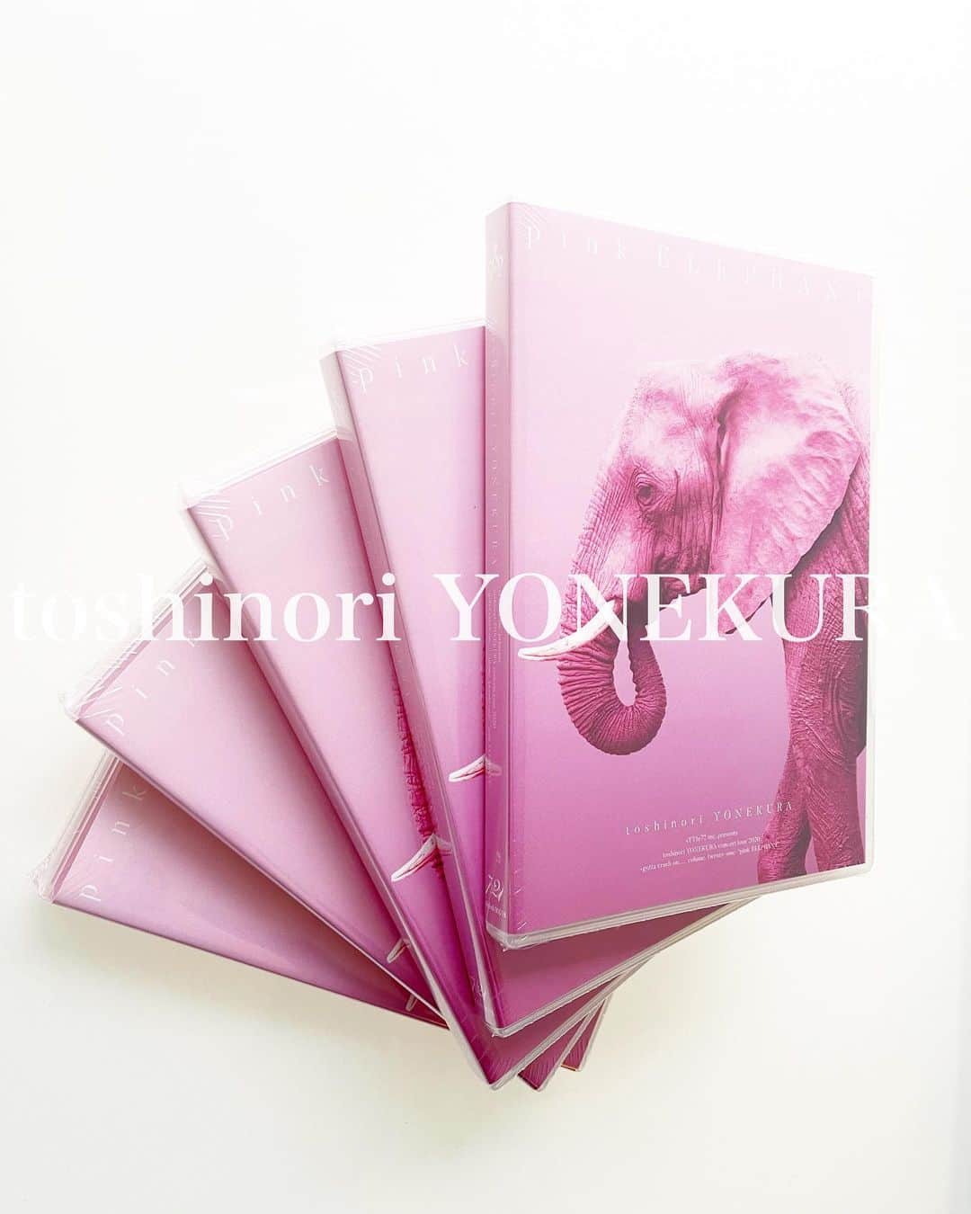 米倉利紀さんのインスタグラム写真 - (米倉利紀Instagram)「BRAND NEW DVD “pink ELEPHANT” is ready for YOU🦣😜」2月26日 15時58分 - toshi_yonekura