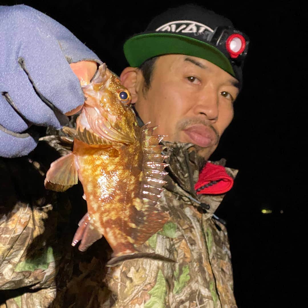 武蔵さんのインスタグラム写真 - (武蔵Instagram)「メバル&ガシラ爆釣！   いち早く春を感じる事が出来ました。  久々にライトゲームをやったら面白くて最近再びハマってます。   良型のガシラとメバルだけキープ。  高級魚。美味しく頂きます。  #武蔵 #釣り #ガシラ #メバル #ライトゲーム #fishing #nofishingnolife」2月26日 16時15分 - musashi_k1karate