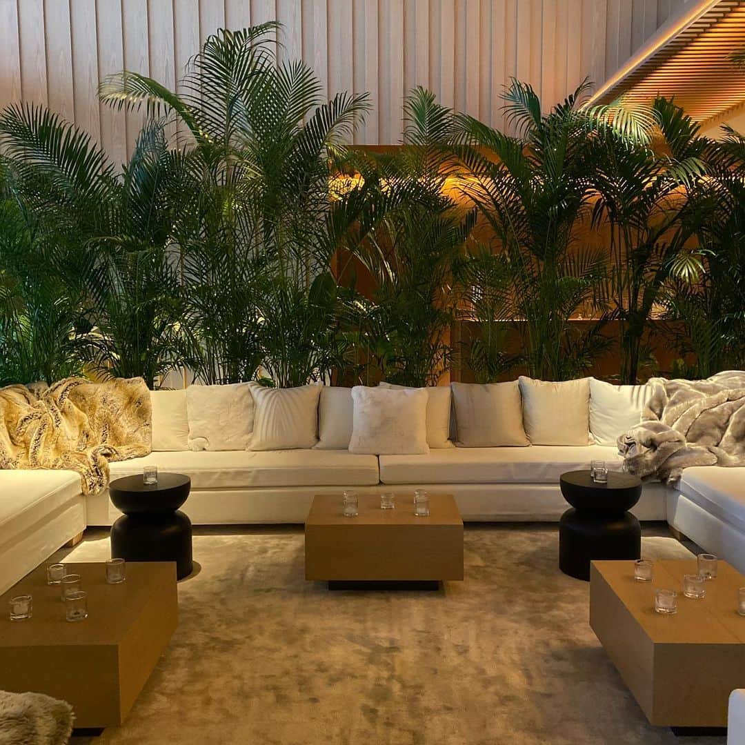 エレナ・アレジ・後藤のインスタグラム：「my kind of jungle 🌱」