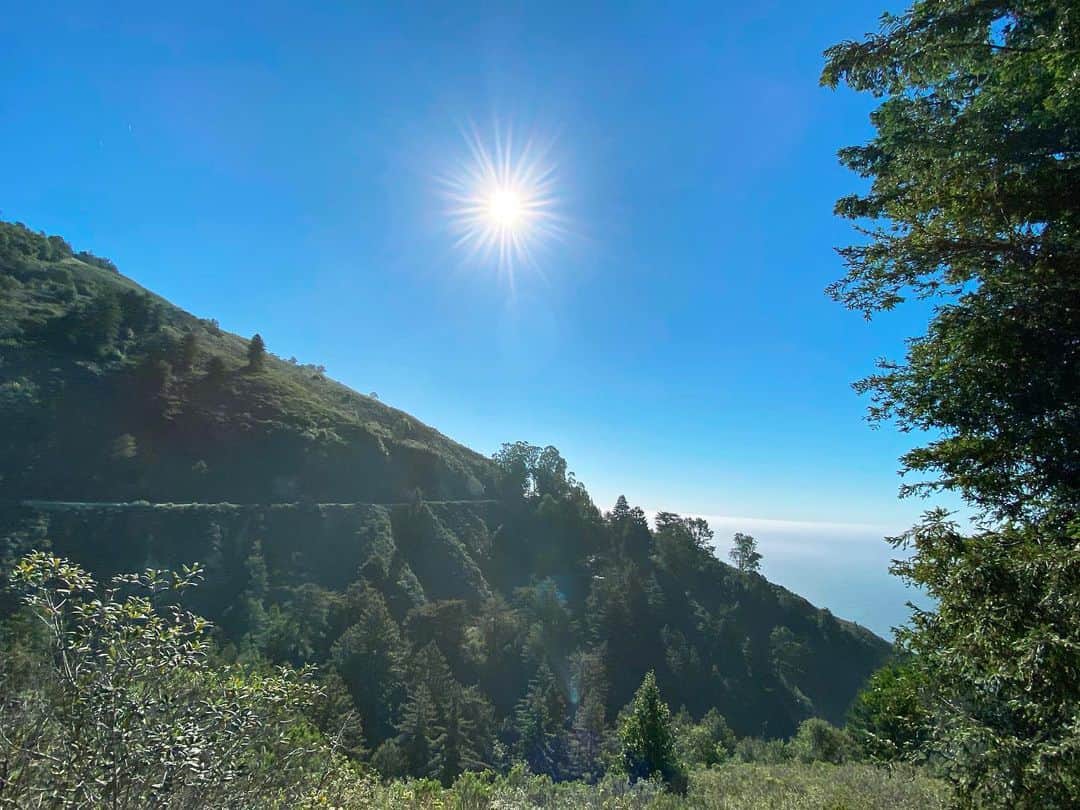 マンディクーンのインスタグラム：「Trying to stop more and appreciate the beauty around me lately, and this spot really took my breath away. I often would just rush by (why?!? for what? I now ask myself) but I’ve been able to (or forced to haha) slow down and adjust my perspective on... everything, really. Anyone else feeling this?」