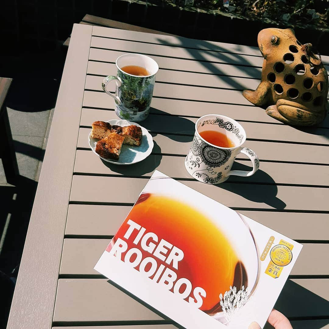 菅原京香さんのインスタグラム写真 - (菅原京香Instagram)「☕😃☀️  高校生の時から飲んでるtigerさんのルイボスティー🌈  このルイボスティは、最高級品質のルイボスティ茶葉を100％利用していているんです👋  私はいつも、お風呂上がりに飲んだり、朝起きて飲んだり、してます🍀  美味しいので気になる方は是非お試し注文してみてください🌟  #タイガールイボスティー #ルイボスティー #生葉ルイボスティー #オーガニックルイボスティー #オーガニック生活 #ノンカフェイン #monipla #rooibosTIGER_fan」2月27日 2時44分 - kyoka_collection_