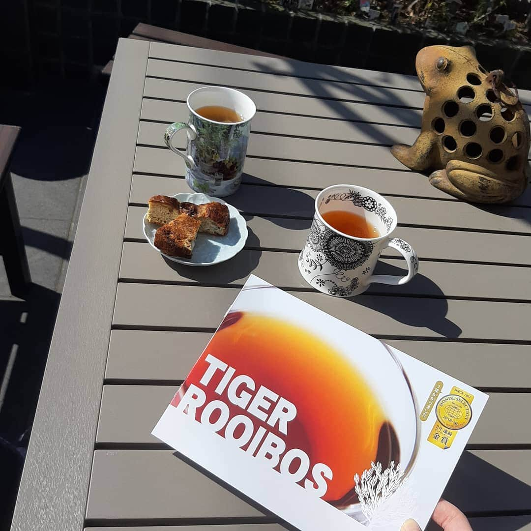 菅原京香さんのインスタグラム写真 - (菅原京香Instagram)「☕😃☀️  高校生の時から飲んでるtigerさんのルイボスティー🌈  このルイボスティは、最高級品質のルイボスティ茶葉を100％利用していているんです👋  私はいつも、お風呂上がりに飲んだり、朝起きて飲んだり、してます🍀  美味しいので気になる方は是非お試し注文してみてください🌟  #タイガールイボスティー #ルイボスティー #生葉ルイボスティー #オーガニックルイボスティー #オーガニック生活 #ノンカフェイン #monipla #rooibosTIGER_fan」2月27日 2時44分 - kyoka_collection_