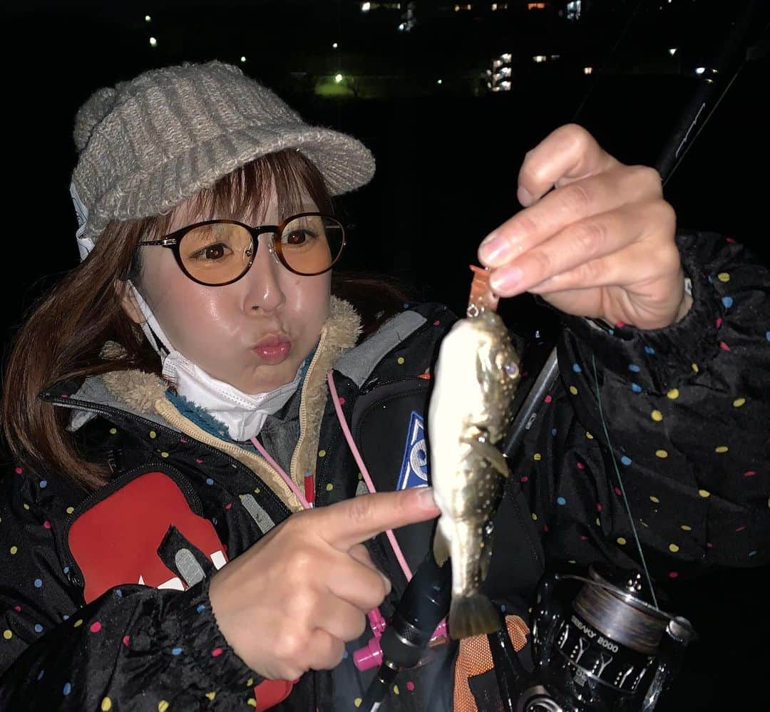 井上直美さんのインスタグラム写真 - (井上直美Instagram)「昨日は久々のウェーディングメバル釣り🎣風も無く意外と寒くもなくて釣りしやすくとっても楽しかったよー♡メバル以外もいろんな子に会えたー(^○^)また近々行きたいな。　 　#釣り　#釣りガール　#メバル　#メバリング　#ウェーディング　#ゆびサック　#ゆびサック40F  #ハルシオンシステム　#テイルウォーク　#ベイミックス　#サンヨーナイロン　#釣り好きな人と繋がりたい　#今年はメバルの当たり年らしいよ　#井上直美　#なおチンぎょ　#アラフォー」2月26日 18時28分 - naochingyo