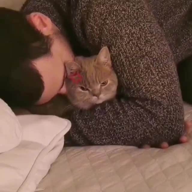 Aww Clubのインスタグラム