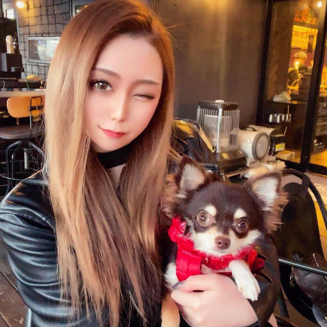 HIMEKAのインスタグラム：「. . the gram🍴 愛しのルブも一緒に🐶❤️ . . ひめのベビかわいいの🥺 4枚目まで見てね🖖🏻 . . #thegram #gram #チワワ #愛犬 #チョコタンチワワ #ルブ」