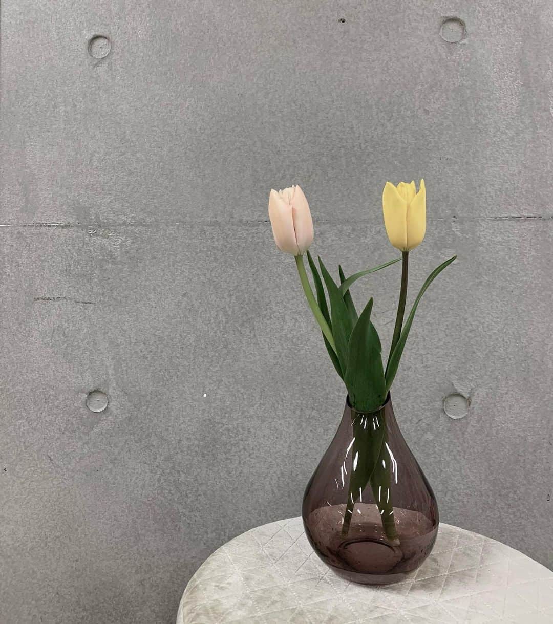 舞木香純のインスタグラム：「気持ちを新たに頑張ります🌷 チューリップを買いました🌷  そして、明日はEMMAのサンプルセールがあります！ 詳細は @__emma__official_ に投稿しています☺︎  急な告知になってしまいました🥲来てくれますか〜？？？」
