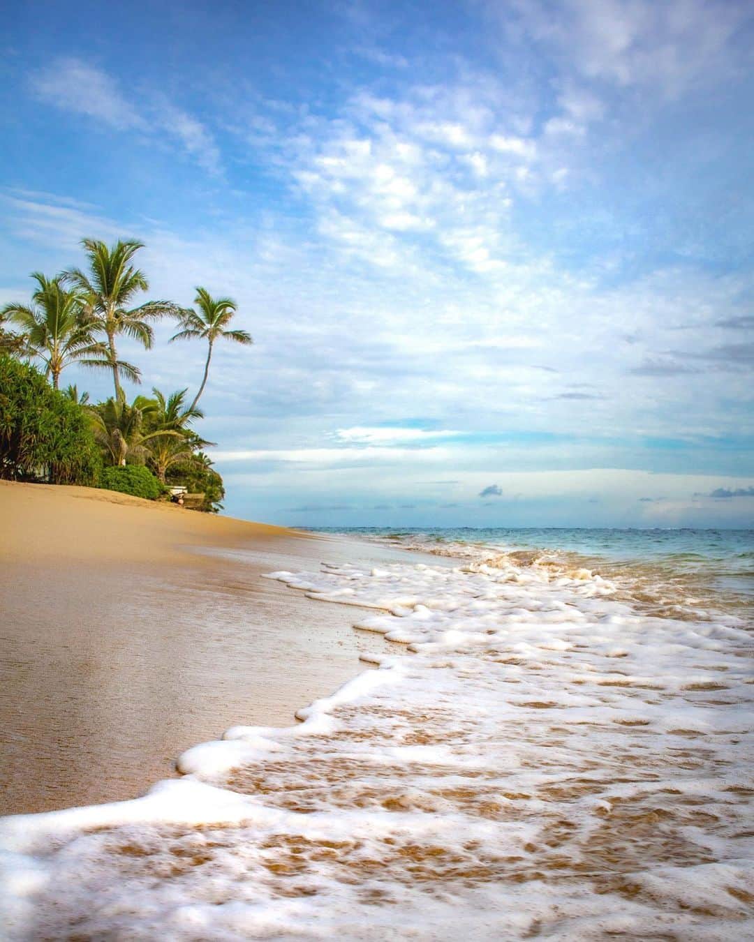 ハワイアン航空さんのインスタグラム写真 - (ハワイアン航空Instagram)「Happy #AlohaFriday ! 週末明けたらもう3月って本当？ 今週もお疲れ様でした。ハワイのビーチを思い浮かべながらリラックスしてくださいね😌🌴  📷 @hawaiiislandtimes  #アロハフライデー #ハワイに行きたい #ハワイのビーチ #ハワイの風景 #妄想ハワイ #ハワイ好きな人と繋がりたい」2月26日 19時49分 - hawaiianairlinesjp
