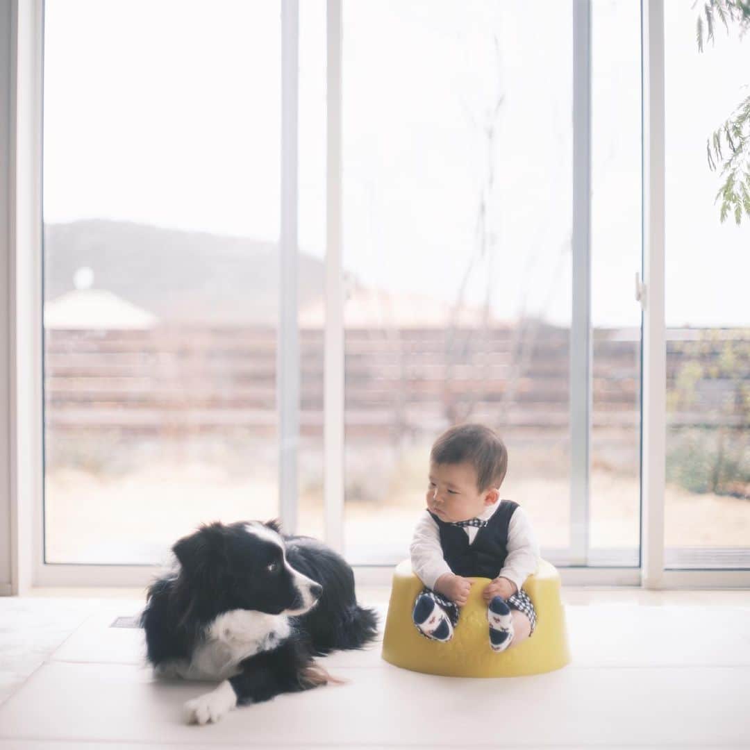 sorayuchiさんのインスタグラム写真 - (sorayuchiInstagram)「・ 息子が６ヶ月になりました🎂  身長は70cm、体重9kgに👶🏻BIG✨  最近はハルが起きている時はマメが寝て、ハルが寝ている時はマメが私に甘える時間になってきて、2人の割当が上手くいきだしました😊  中型犬なので、赤ちゃんとの触れ合いには細心の注意が必要ですが、仲良く触れ合っている姿は何とも言えない幸せな日常です😌♡」2月26日 19時43分 - sorayuchi