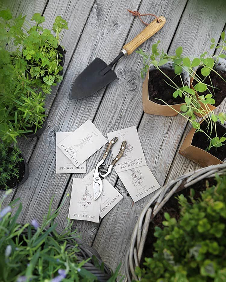 Frida Ramstedtのインスタグラム：「👉🏻@trendenser_garden testing testing... Beta for a new idea 💚Follow it from the start and feel free to give me feedback on what you think.」