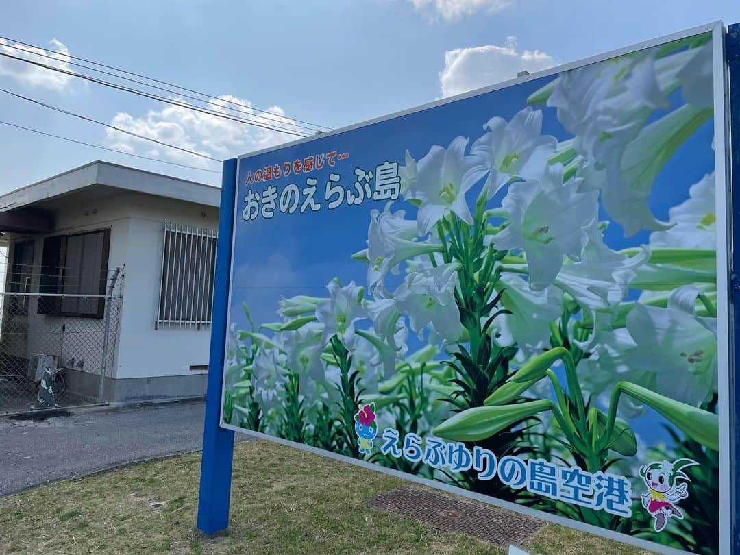 山口真奈さんのインスタグラム写真 - (山口真奈Instagram)「土曜日の﻿ 正午からは MBCテレビ 週刊1チャンネル﻿ 1時半から MBCラジオ 青たく です📺📻🎶﻿ ﻿ 今週の週刊1チャンネルの山口プロモーションでは沖永良部島について紹介します✨✨﻿ ﻿ 沖永良部島といえばユリの花💐新種の可愛らしいユリ、無花粉ユリ、そしてゴージャスな八重咲きのユリも登場します！﻿ ﻿ また、ITを使って島を盛り上げるみなさんも紹介します💻✨私たちも体験できる、画期的な取り組みを紹介しますよ。﻿ ﻿ あすもよろしくお願い致します！﻿ ﻿ ☆☆☆☆☆☆☆☆☆☆☆☆☆☆☆☆☆☆☆☆☆☆☆☆﻿ ﻿ #鹿児島 #kagoshima #mbc #mbcテレビ #週刊1チャンネル #番組 #テレビ #青たく #ラジオ #山口プロモーション #アナウンサー #山口真奈 #離島 #沖永良部島 #沖永良部 #リゾート #ユリ #花 #旅行 #旅 #鹿児島旅行 #okinoerabu #okierabu」2月26日 21時17分 - manayamaguchi0417