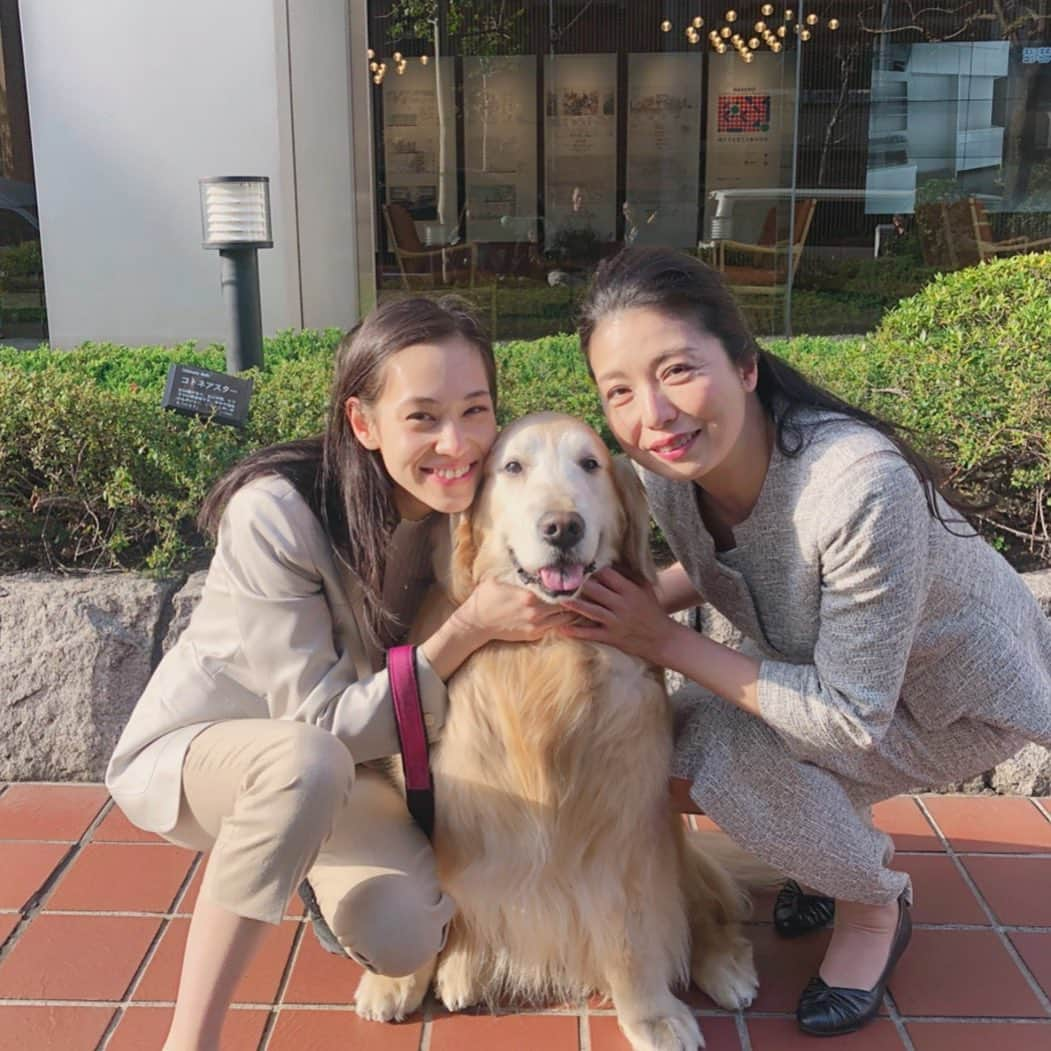 高橋ひとみのインスタグラム