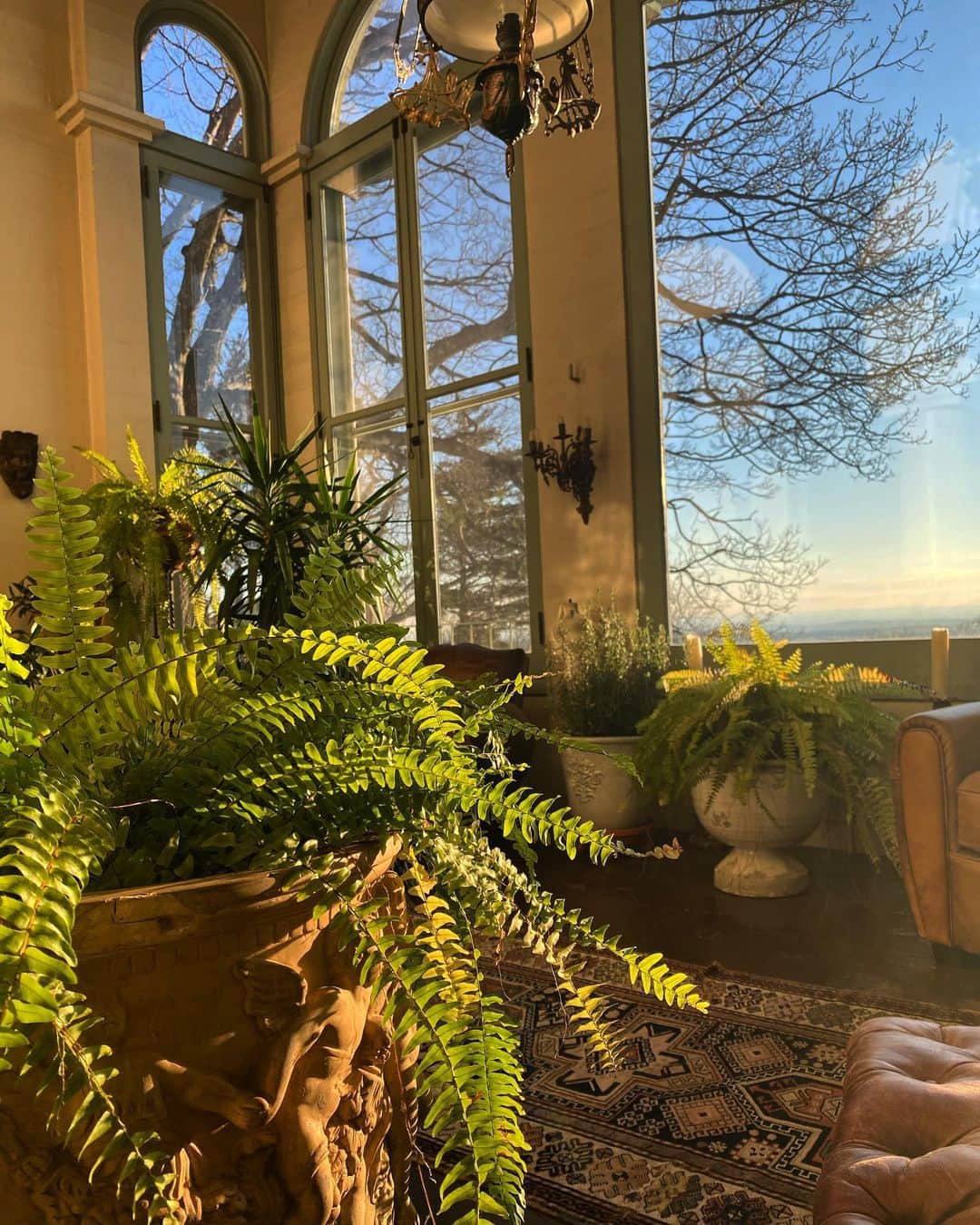 稲木ジョージのインスタグラム：「My happy place 🏰🌿💘」