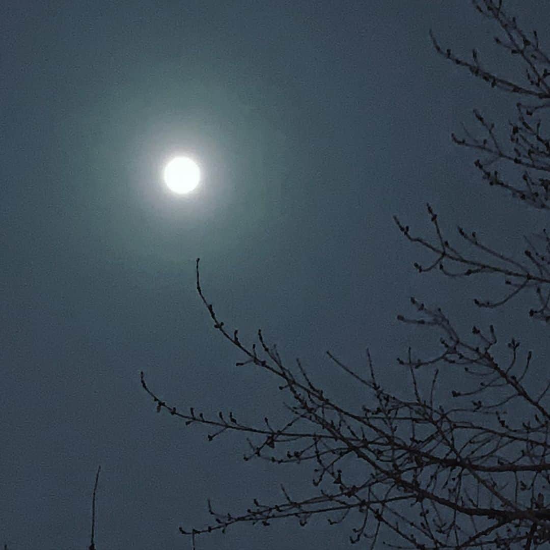 結城さなえさんのインスタグラム写真 - (結城さなえInstagram)「美しい朧月夜。  あぁ、こんな素晴らしい夜に CM決まりました❤︎  1日早い誕生日プレゼント🎁 ありがとうございます😂  #朧月  #2月 #夜空 #月 #2021226」2月26日 21時47分 - yuukisanae