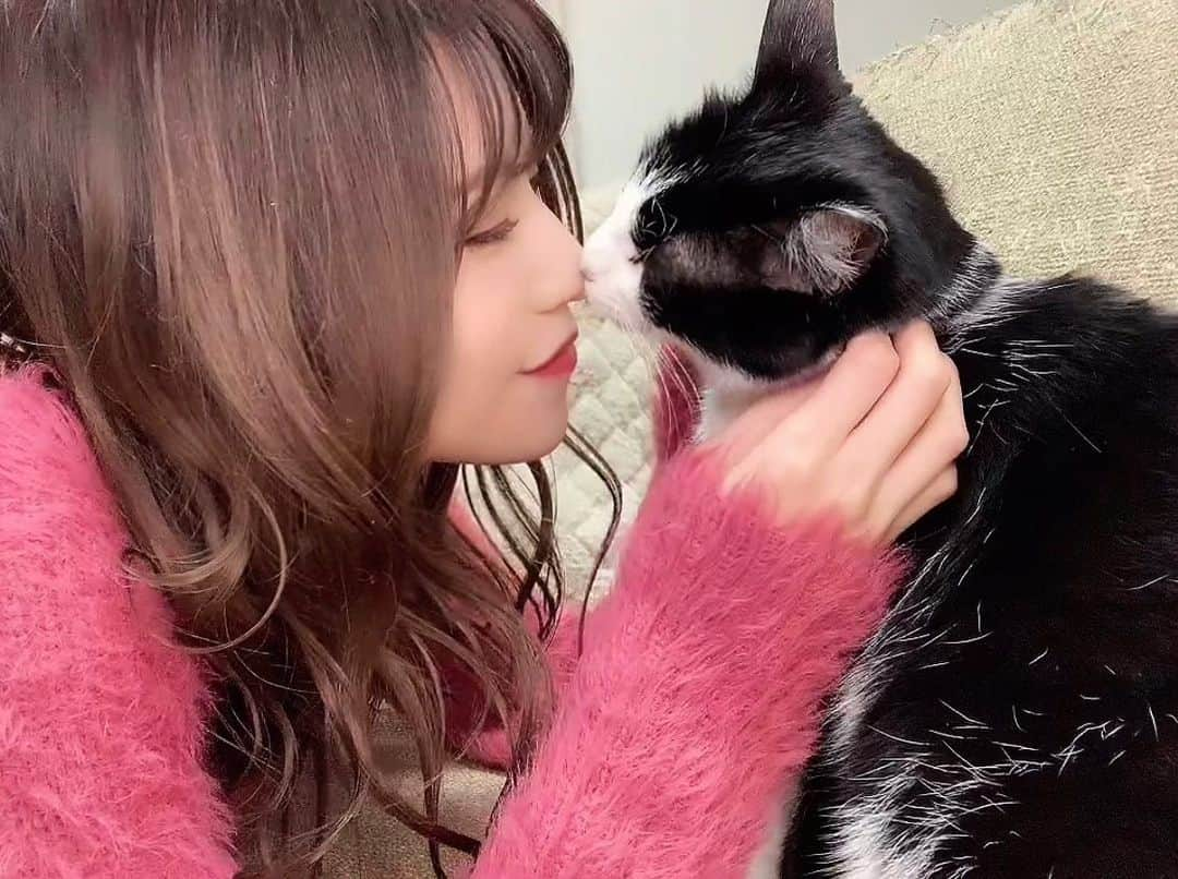 みはとのインスタグラム：「はなちゅう💋   びびさんの特技が みんなに褒められて嬉しいねぇ🥰  やっぱりうちのこ天才←  #猫の特技  #TikTok #みんな見てね #らぶらぶ  #甘えん坊  #可愛い  #にゃんこ  #ねこすたぐらむ  #デレデレ  #うちの子が可愛すぎる  #nyanstagram  #catstagram  #ねっこ #ちゅ #💋」