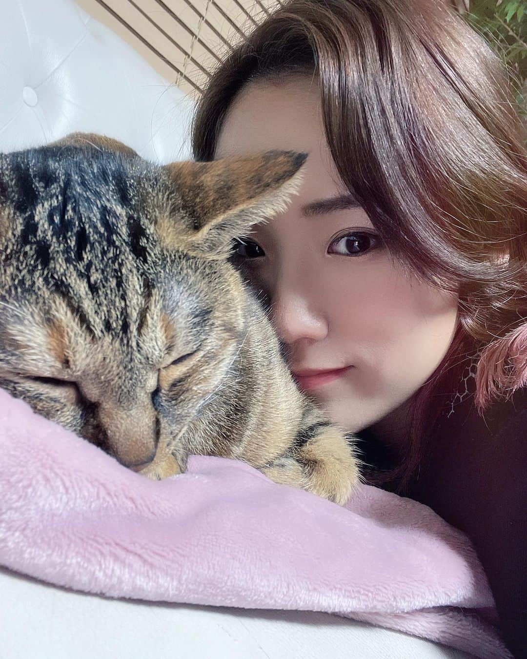 秋山ゆずきさんのインスタグラム写真 - (秋山ゆずきInstagram)「. . 可愛い可愛いくくさんの寝顔。 最近くくさんが甘えん坊で嬉しい😌😌😌  #くくきき成長記録 #きじとら #きじとら猫  #猫 #ねこのいる暮らし  #猫好きさんとつながりたい」2月26日 22時42分 - yuzukiakiyama
