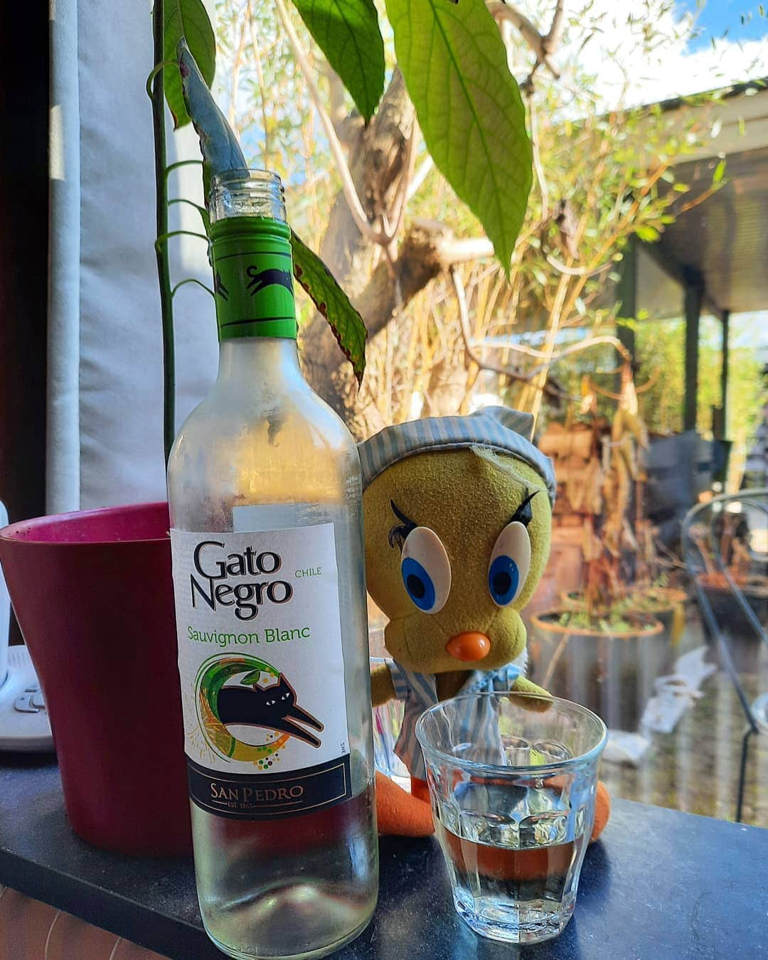 Little Yellow Birdさんのインスタグラム写真 - (Little Yellow BirdInstagram)「Cheers to the weekend, everyone! #littleyellowbird #tweety #tweetykweelapis #adventures #yellow #bird #weekend #friday #tgif #happyhour #cheers #proost #wine #whitewine #sun #sunnyday #february #spring #stuffedanimalsofinstagram #plushiesofinstagram」2月26日 22時47分 - tweetykweelapis