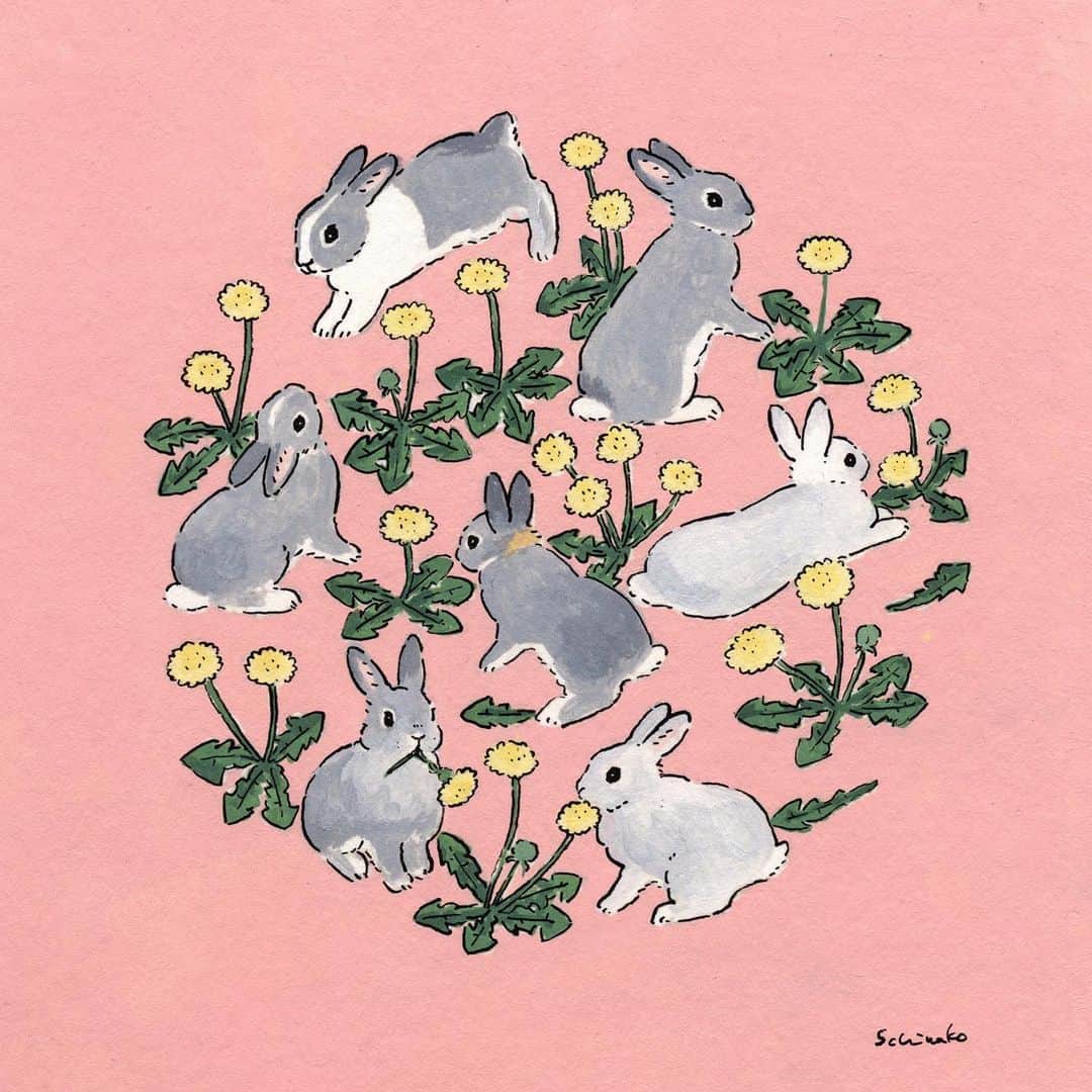 森山標子(しなこ)/Schinakoさんのインスタグラム写真 - (森山標子(しなこ)/SchinakoInstagram)「Dandelion🐇 たんぽぽ🌼 今週もおつかれさま。 * #illustration#art#drawing#design#acrylicpaint#アクリル絵の具#rabbit#bunny#うさぎ」2月26日 23時00分 - schinako