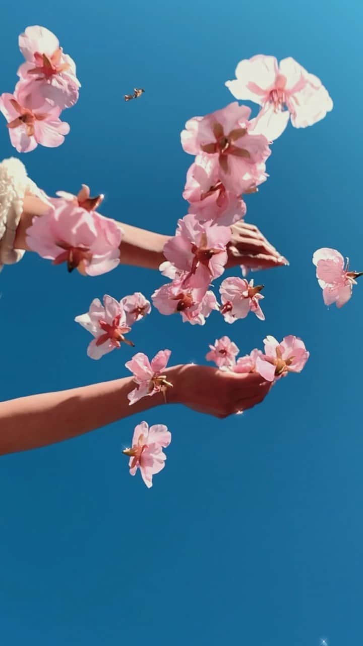 RUI ONUMAのインスタグラム：「桜〜🌸🌸🌸  早咲きのはもう咲いてきたね🥺 今年はお花見出来るといいね😭🍡  #桜 #お花見 #早咲きの桜 #sakura #cherryblossom」