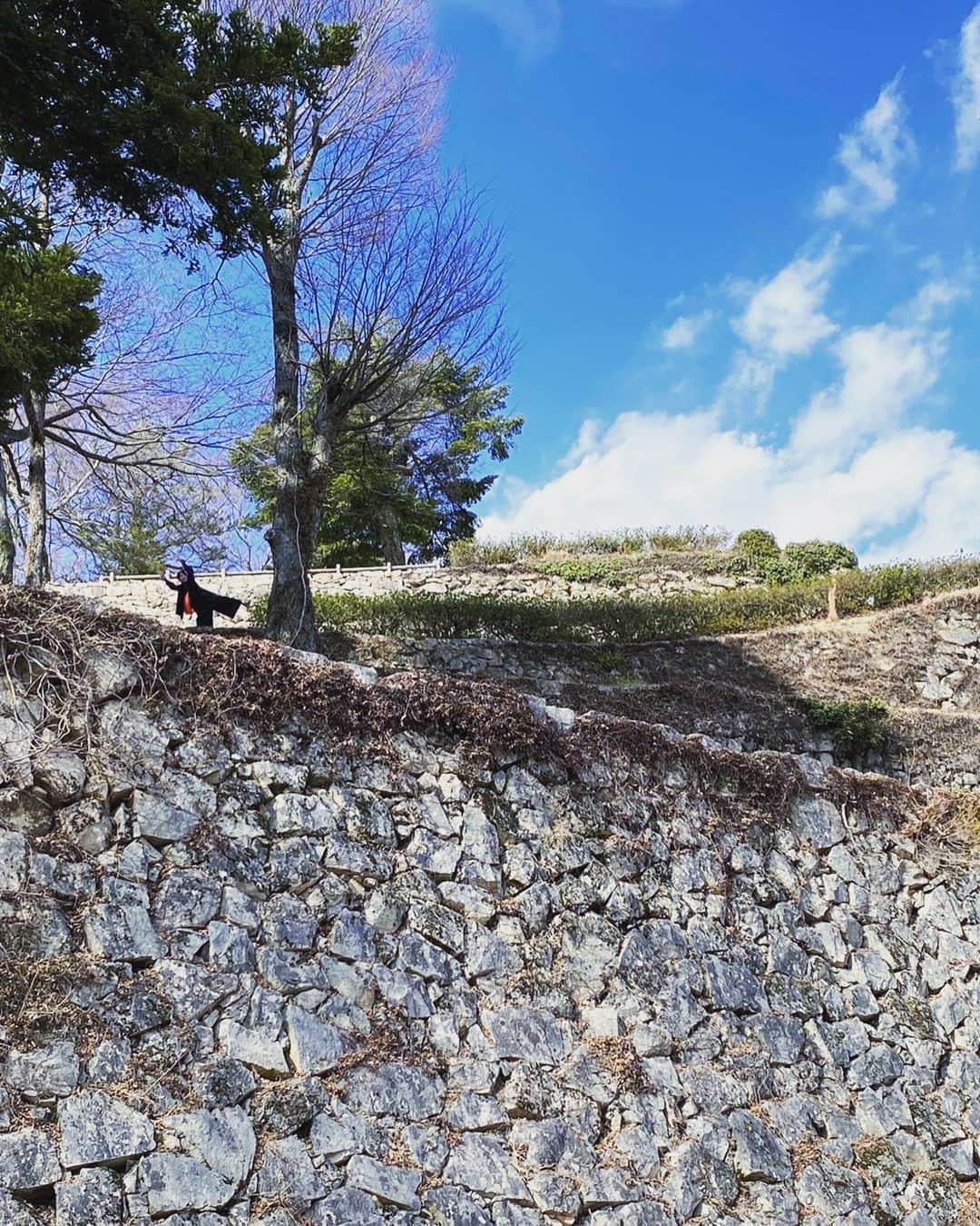 のインスタグラム：「蒼い空、白い雲、地石に木々と緑、時々ぴんく。 遥かならぬ春かな😊 . .  #はやく#また会いたいな  #春 #また行きたいな  #spring #springhascome」