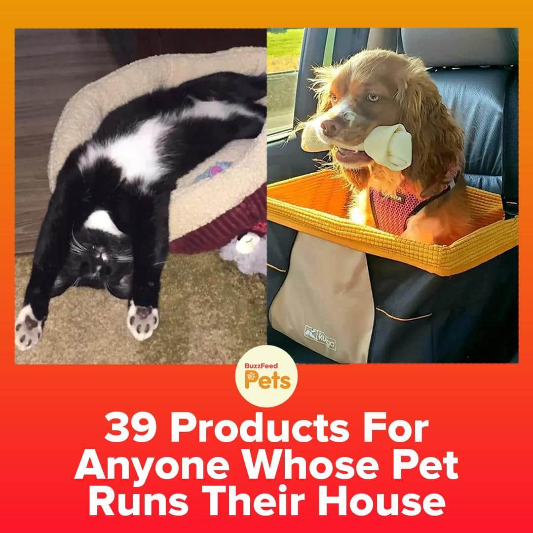 BuzzFeedさんのインスタグラム写真 - (BuzzFeedInstagram)「From @BuzzFeedPets 🐾 If your pet's needs *always* come before your own, the products in this post are for you. Link in bio!」2月26日 23時41分 - buzzfeed